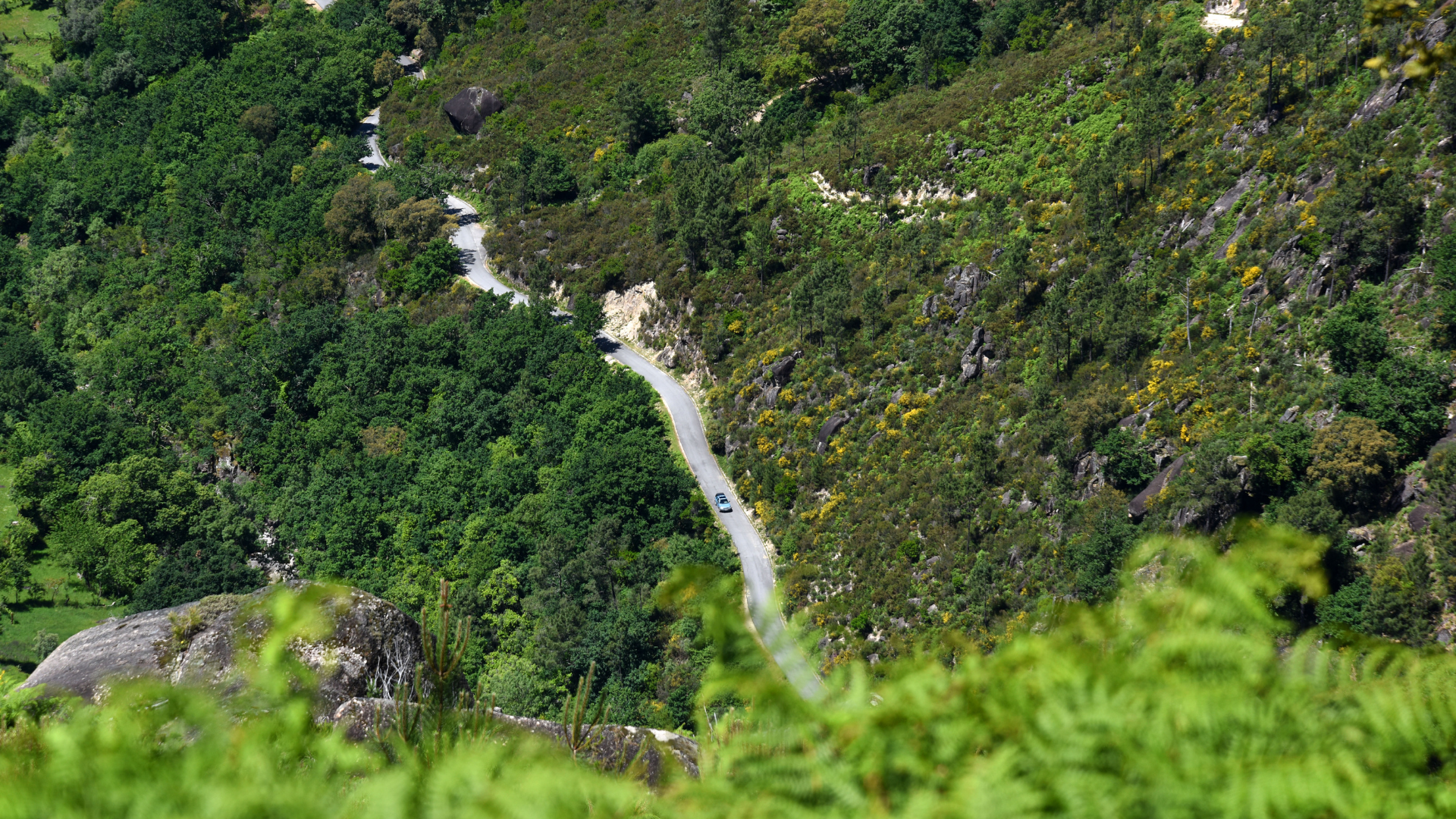 Hiking and Sipping Portugals Best Trails (4)